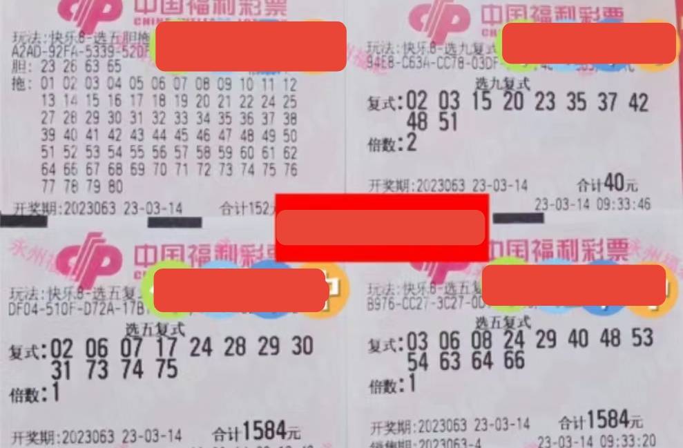 2023年福利彩票2023023期中奖号码揭晓，幸运的瞬间与梦想成真的故事，2023年福利彩票2023023期，梦想成真的幸运瞬间