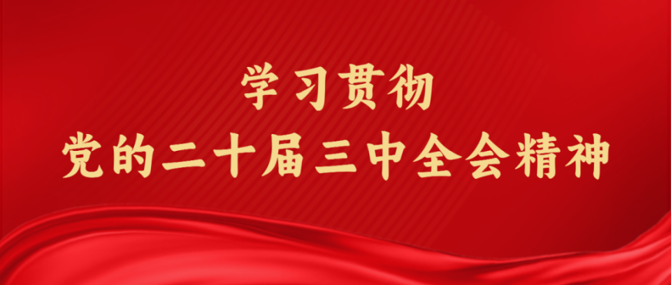 探索中国福利彩票2024113期的公益与梦想之旅，2024113期中国福利彩票，公益与梦想的奇妙之旅
