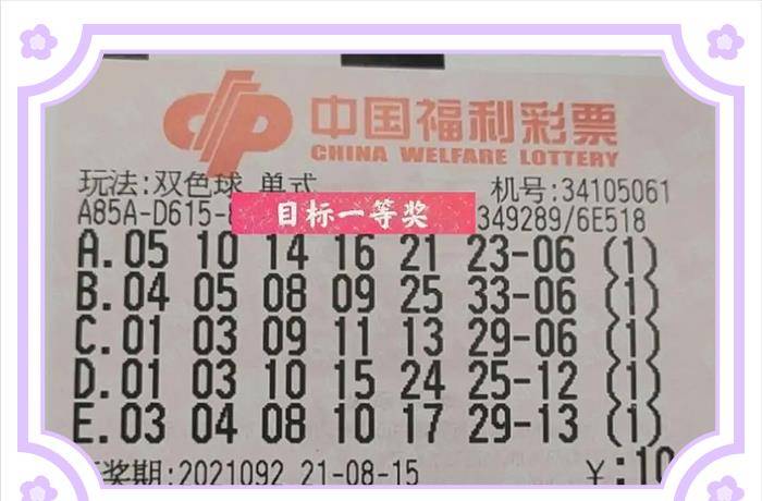 韩鸷双色球黄金预测点，揭秘数字游戏中的智慧之光，韩鸷双色球黄金预测点，数字游戏中的智慧之光