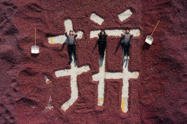 于海滨的悲壮抉择，一马之死与人性光辉，于海滨的悲壮抉择，一马之死映照人性光辉