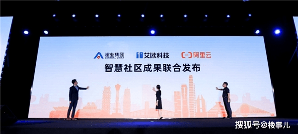 探索新易彩吧字谜总汇，一场智慧与趣味的盛宴，新易彩吧字谜总汇，智慧与趣味的完美碰撞