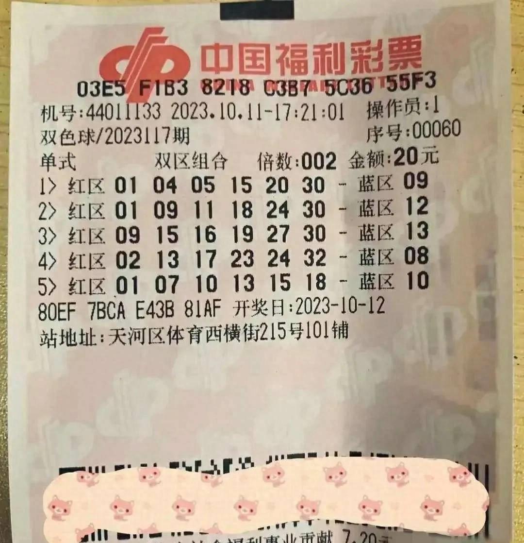 玩转双色球，复式投注的魅力与技巧，双色球复式投注，解锁彩票游戏的魅力与技巧