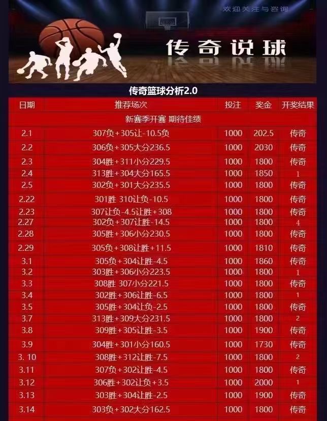 体育彩票竞彩篮球玩法全解析，从入门到进阶的指南，体育彩票竞彩篮球，从新手到高手的全面指南