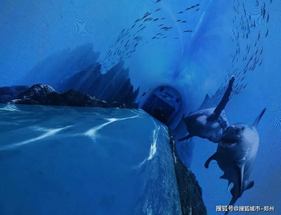 探索3D于海滨的奇妙世界，天天彩的梦幻之旅，3D海滨探险，天天彩的梦幻之旅
