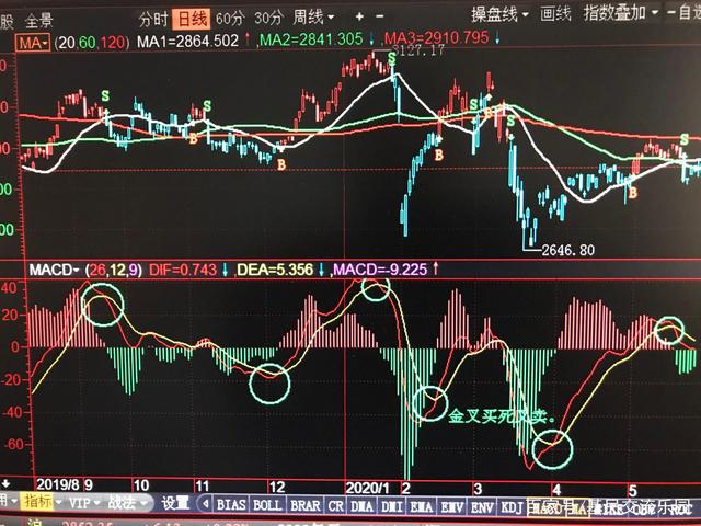 股票市场观察，如何准确查看大盘走势，掌握股市脉搏，如何准确查看大盘走势