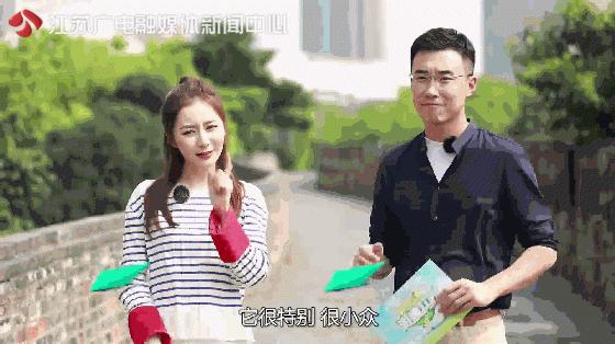 福彩江苏快三，揭秘开奖背后的精彩与希望，福彩江苏快三，揭秘开奖背后的精彩与希望