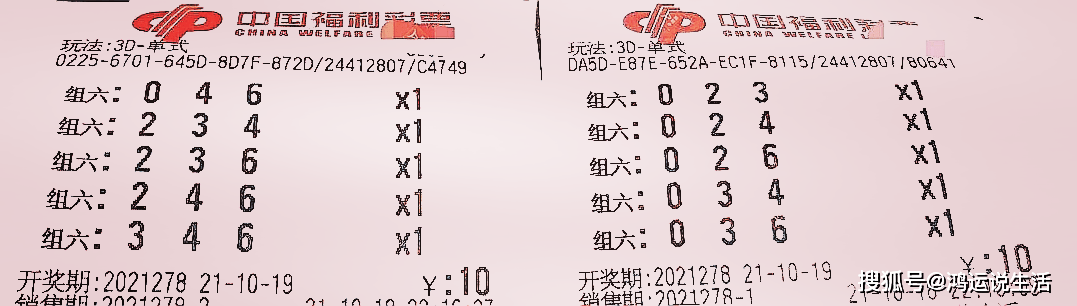福彩3D，双胆与独胆—揭秘选号策略的奥秘，福彩3D选号策略，双胆与独胆的奥秘揭秘
