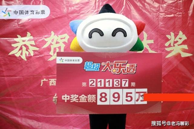 33加一中奖能拿多少奖金，揭秘彩票大奖的魅力与现实，揭秘33加一中奖奖金，彩票大奖的魅力与现实