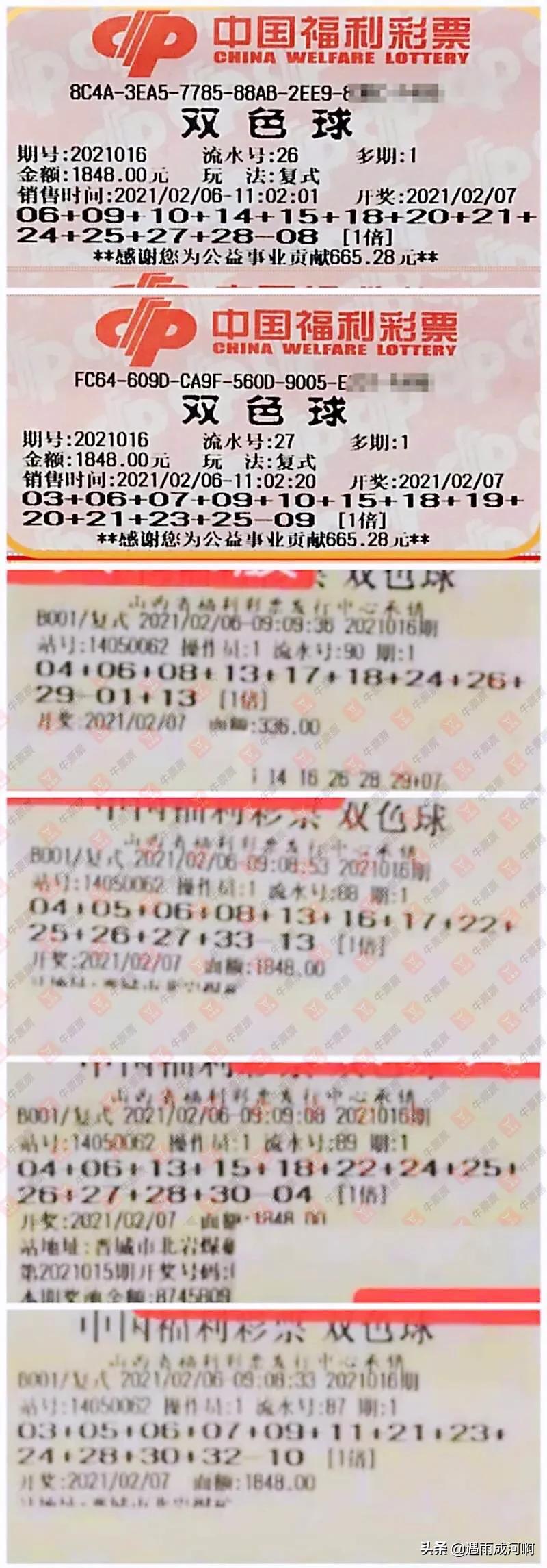 21016期双色球开奖号码结果，揭秘幸运数字的奥秘，揭秘21016期双色球开奖号码，探寻幸运数字的奥秘
