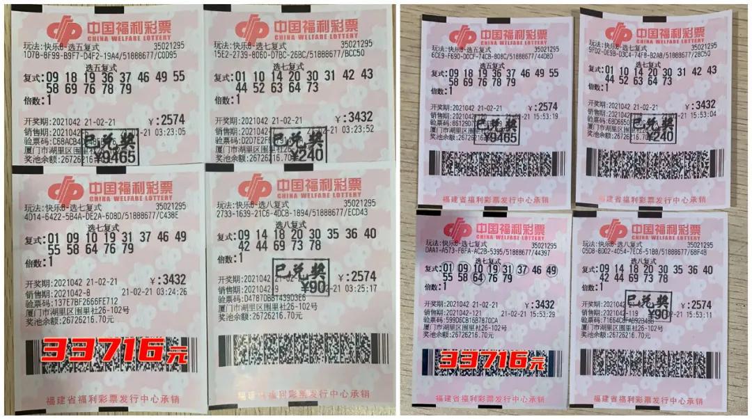 探索香港6合开彩，今日开奖结果与未来预测的深度解析，香港6合开彩今日开奖结果与未来趋势深度解析