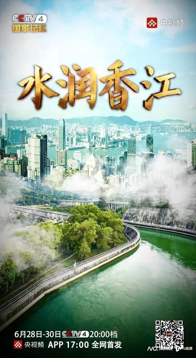 揭秘香港6合开奖结果98期，开奖号码背后的故事与真相，揭秘香港6合开奖结果98期，开奖号码背后的故事与真相