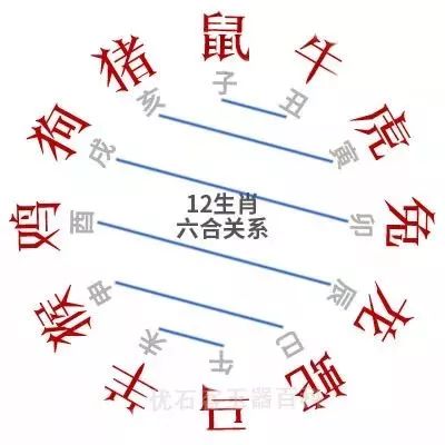 香港6合和彩与12生肖，揭秘背后的税务问题，香港6合和彩与12生肖，揭秘背后的税务问题与挑战
